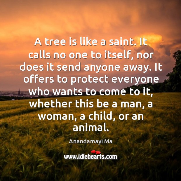 A tree is like a saint. It calls no one to itself, Anandamayi Ma Picture Quote