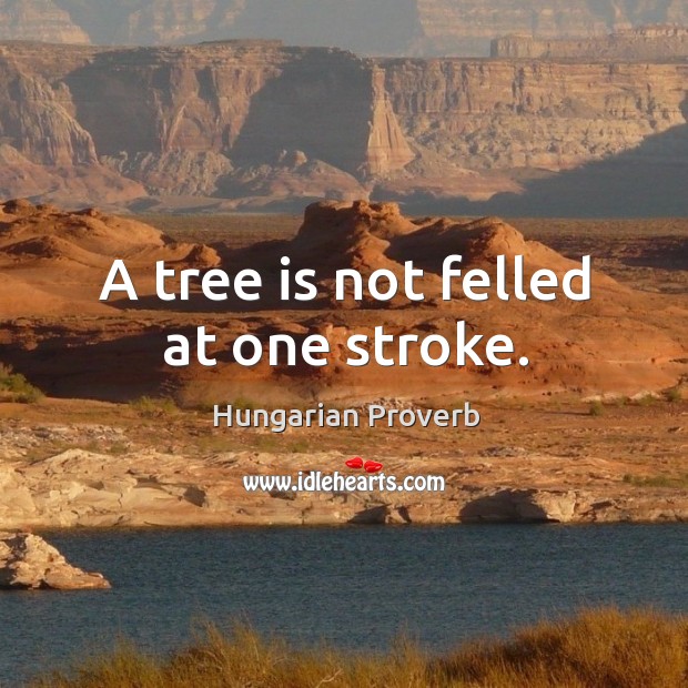 A tree is not felled at one stroke. Image