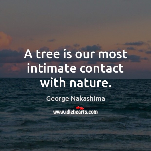 A tree is our most intimate contact with nature. Image