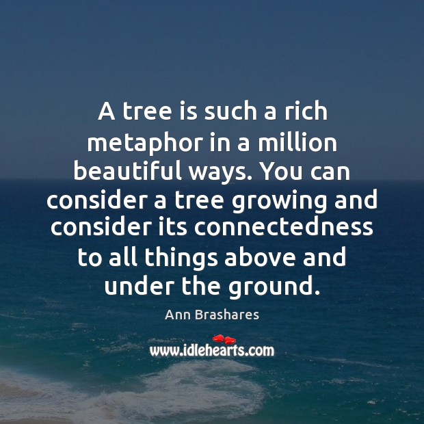 A tree is such a rich metaphor in a million beautiful ways. Ann Brashares Picture Quote