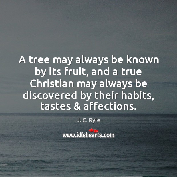A tree may always be known by its fruit, and a true J. C. Ryle Picture Quote