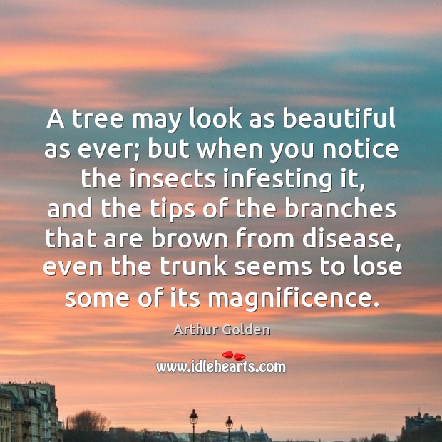 A tree may look as beautiful as ever; but when you notice Image