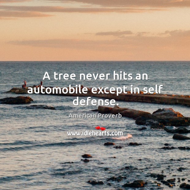 A tree never hits an automobile except in self defense. 