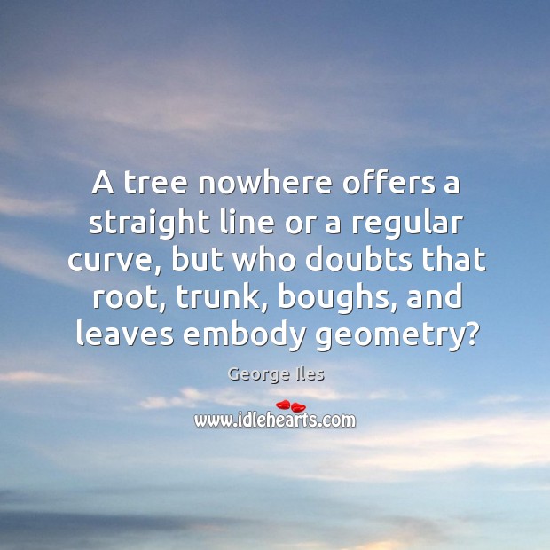 A tree nowhere offers a straight line or a regular curve, but George Iles Picture Quote