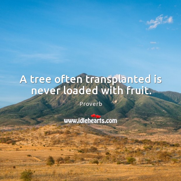 A tree often transplanted is never loaded with fruit. Image