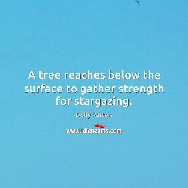 A tree reaches below the surface to gather strength for stargazing. Dolly Parton Picture Quote
