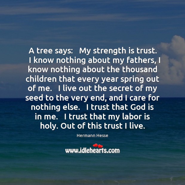 A tree says:   My strength is trust.   I know nothing about my Strength Quotes Image