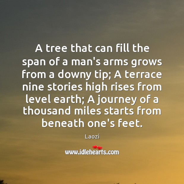 A tree that can fill the span of a man’s arms grows Laozi Picture Quote