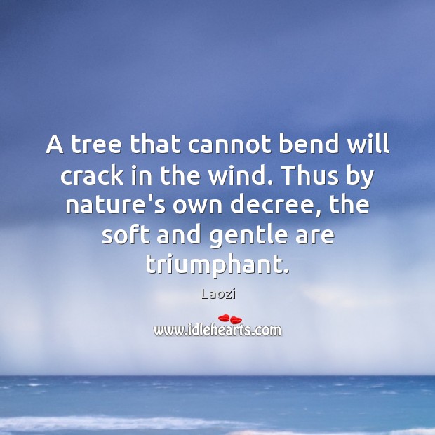 A tree that cannot bend will crack in the wind. Thus by Image