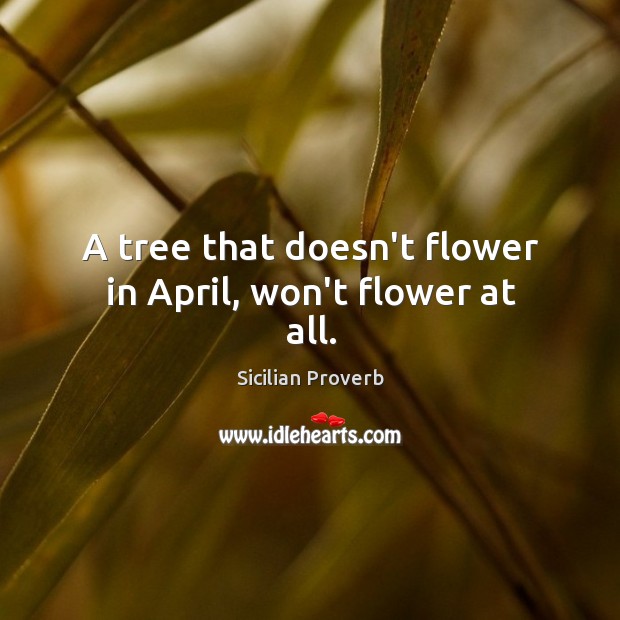 A tree that doesn’t flower in april, won’t flower at all. Sicilian Proverbs Image