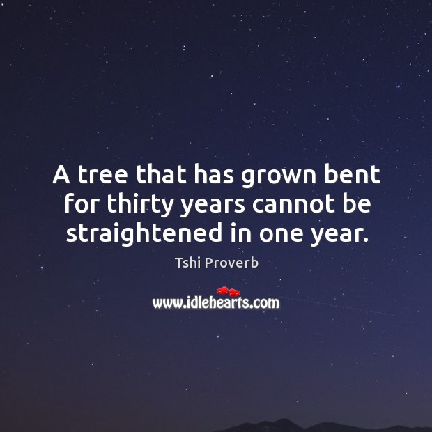 A tree that has grown bent for thirty years cannot be straightened in one year. Tshi Proverbs Image