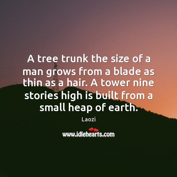 A tree trunk the size of a man grows from a blade Laozi Picture Quote