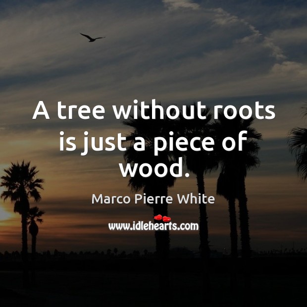 A tree without roots is just a piece of wood. Marco Pierre White Picture Quote