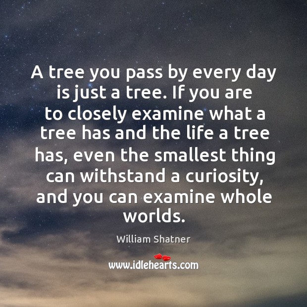 A tree you pass by every day is just a tree. If William Shatner Picture Quote