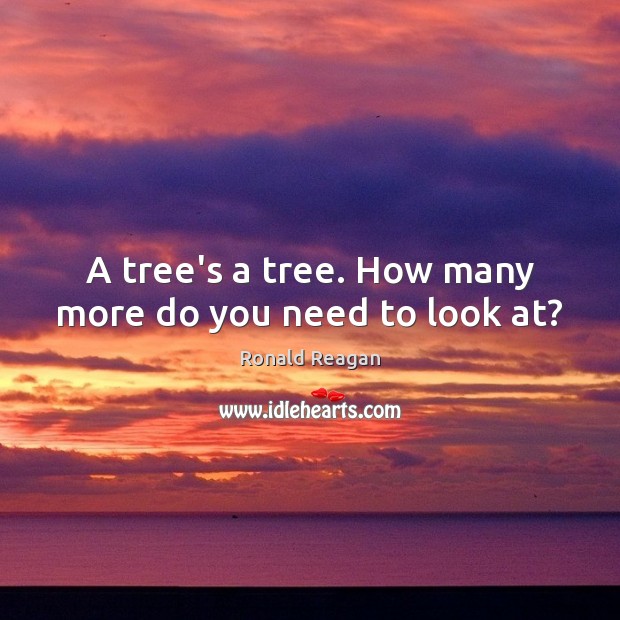 A tree’s a tree. How many more do you need to look at? Image