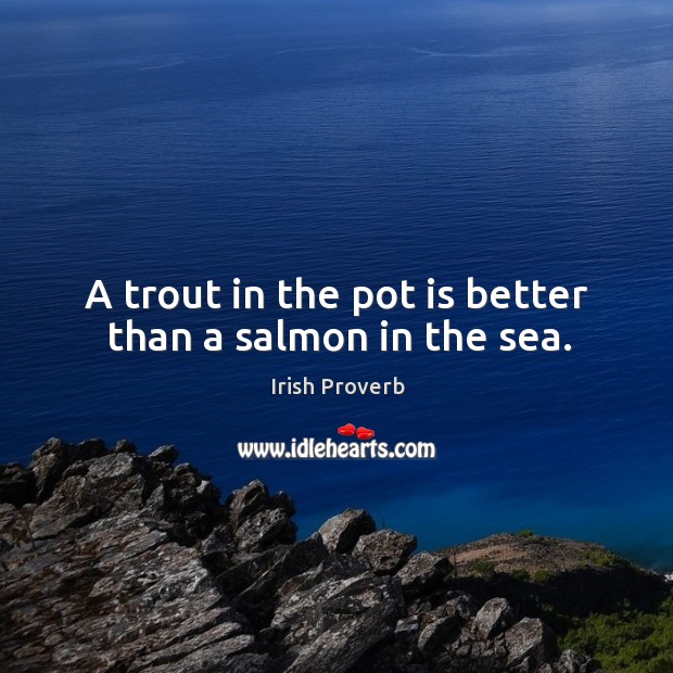 A trout in the pot is better than a salmon in the sea. Irish Proverbs Image