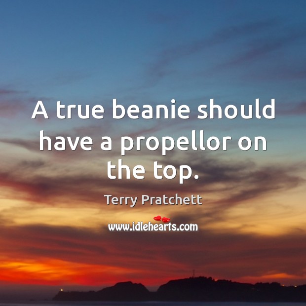 A true beanie should have a propellor on the top. Terry Pratchett Picture Quote