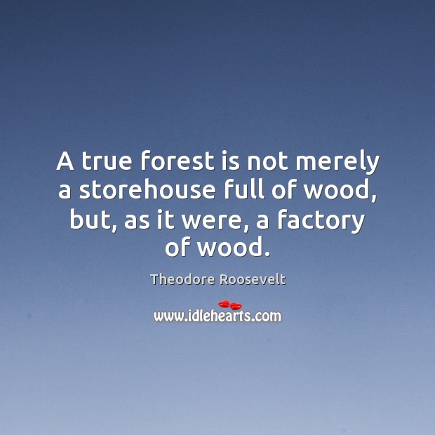 A true forest is not merely a storehouse full of wood, but, as it were, a factory of wood. Theodore Roosevelt Picture Quote