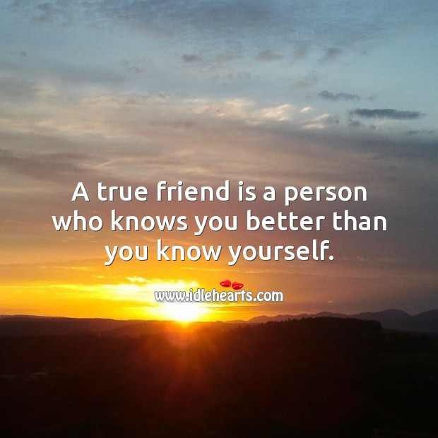 A true friend is a person who knows you better than you know yourself. True Friends Quotes Image