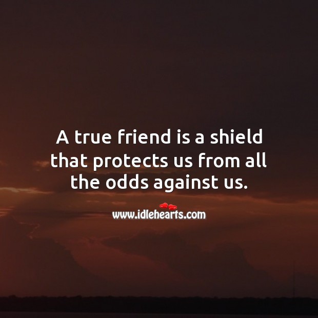 A true friend is a shield that protects us from all the odds against us. Friendship Quotes Image