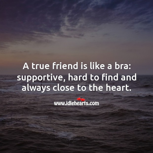 A true friend is like a bra. True Friends Quotes Image