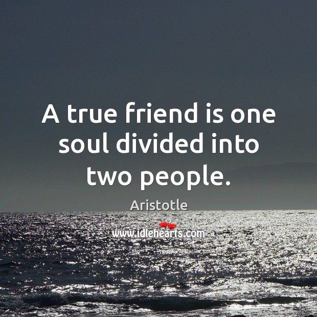 A true friend is one soul divided into two people. Aristotle Picture Quote
