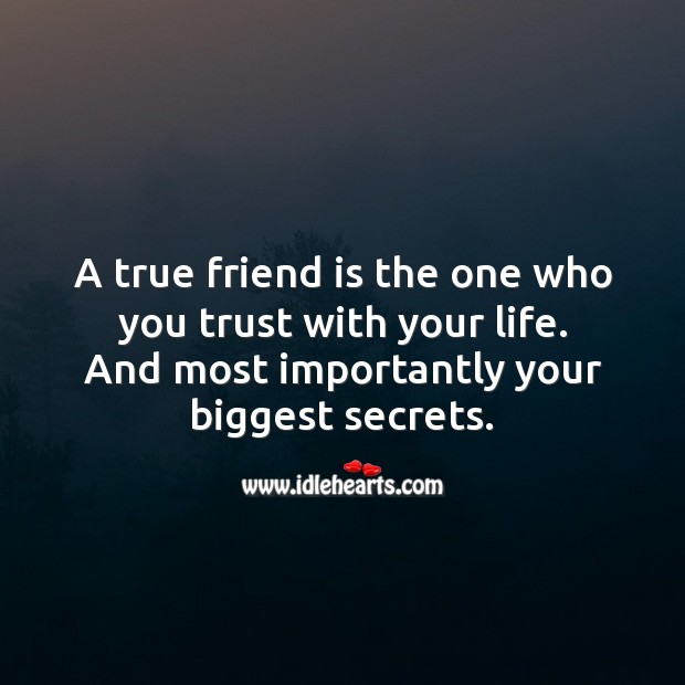A true friend is the one who you trust with your life. And your biggest secrets. True Friends Quotes Image