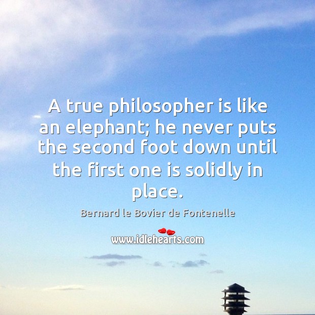 A true philosopher is like an elephant; he never puts the second Bernard le Bovier de Fontenelle Picture Quote