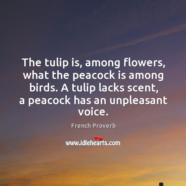 A tulip lacks scent, a peacock has an unpleasant voice. French Proverbs Image