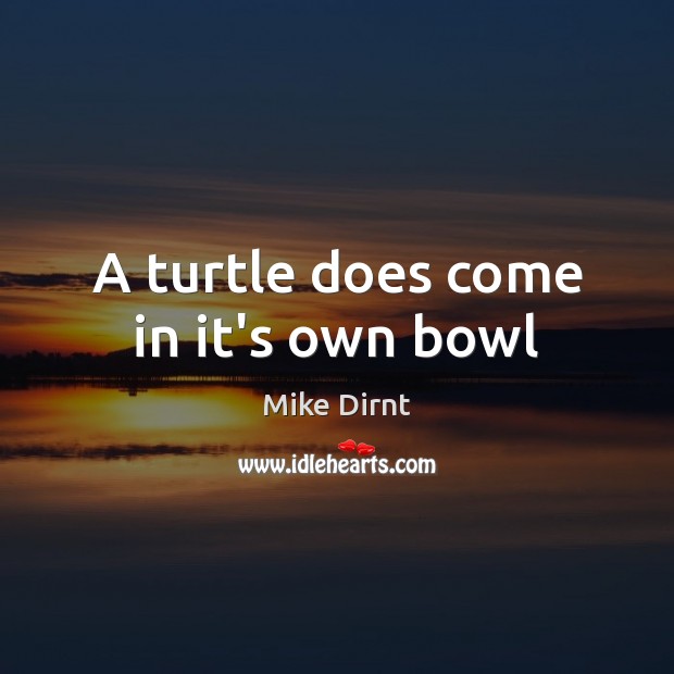 A turtle does come in it’s own bowl Mike Dirnt Picture Quote