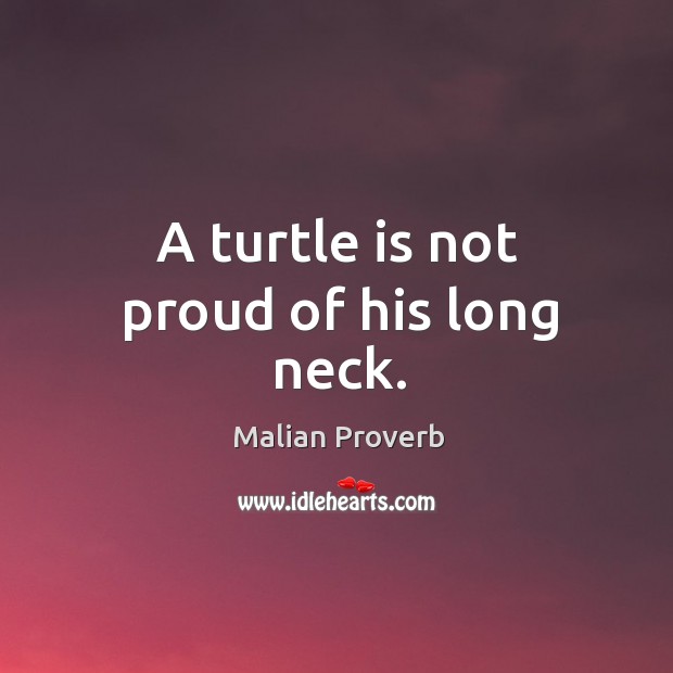 A turtle is not proud of his long neck. Malian Proverbs Image