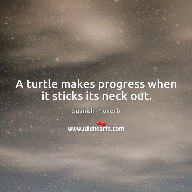 A turtle makes progress when it sticks its neck out. Spanish Proverbs Image