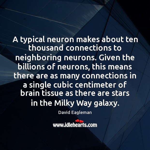 A typical neuron makes about ten thousand connections to neighboring neurons. Given David Eagleman Picture Quote