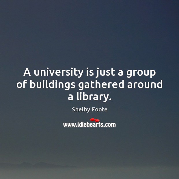 A university is just a group of buildings gathered around a library. Shelby Foote Picture Quote