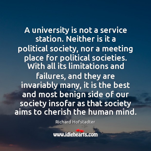 A university is not a service station. Neither is it a political Richard Hofstadter Picture Quote