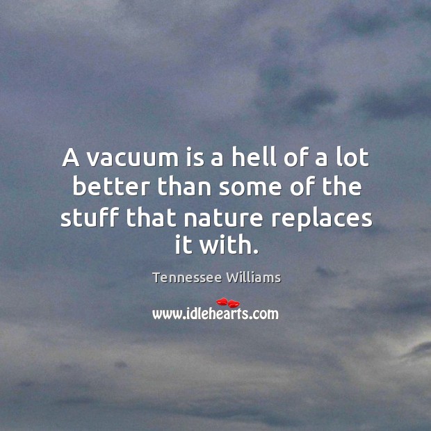 A vacuum is a hell of a lot better than some of the stuff that nature replaces it with. Image
