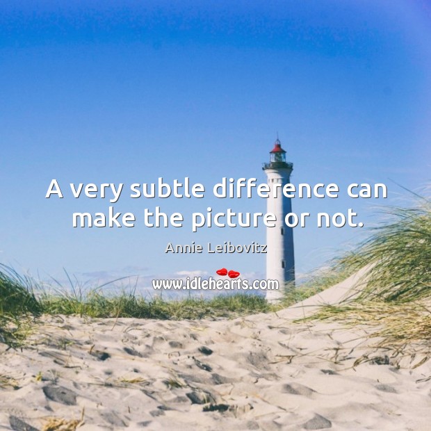 A very subtle difference can make the picture or not. Annie Leibovitz Picture Quote