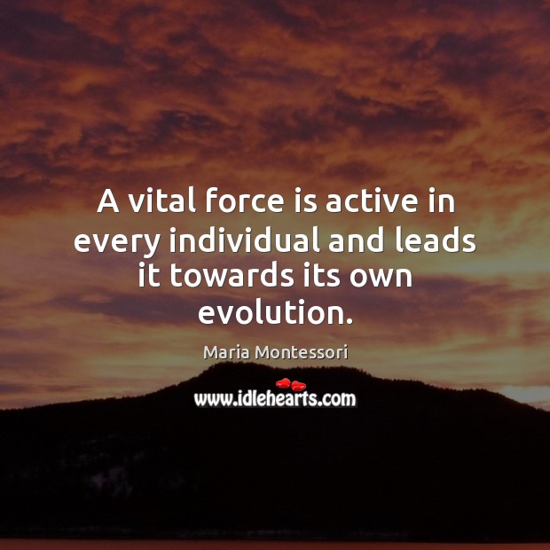 A vital force is active in every individual and leads it towards its own evolution. Maria Montessori Picture Quote