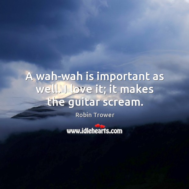 A wah-wah is important as well. I love it; it makes the guitar scream. Image