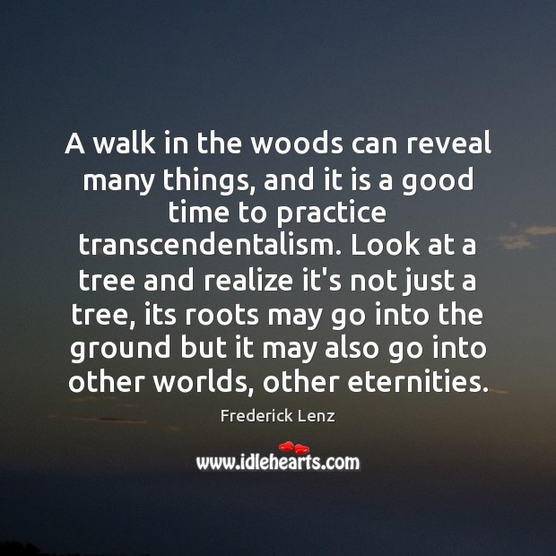 A walk in the woods can reveal many things, and it is Practice Quotes Image