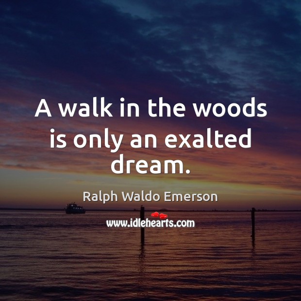 A walk in the woods is only an exalted dream. Image
