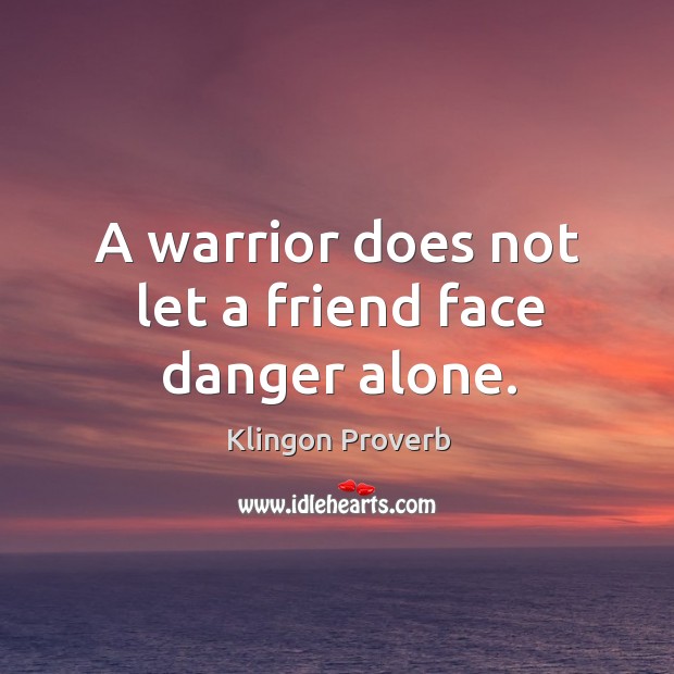 A warrior does not let a friend face danger alone. Klingon Proverbs Image