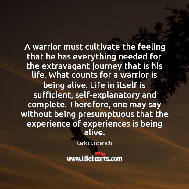 A warrior must cultivate the feeling that he has everything needed for Carlos Castaneda Picture Quote