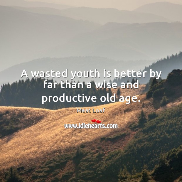 A wasted youth is better by far than a wise and productive old age. Meat Loaf Picture Quote