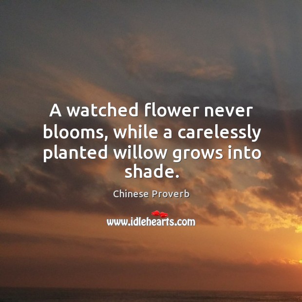 A watched flower never blooms, while a carelessly planted willow grows into shade. Chinese Proverbs Image