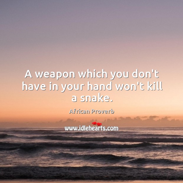 A weapon which you don’t have in your hand won’t kill a snake. African Proverbs Image