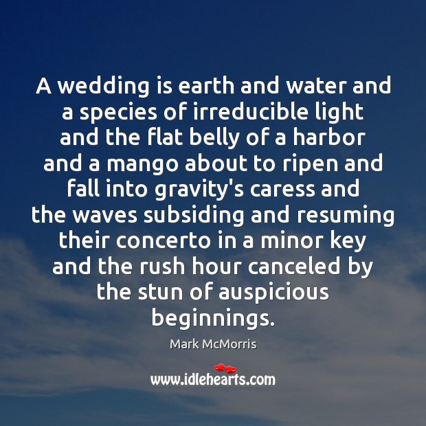 A wedding is earth and water and a species of irreducible light Mark McMorris Picture Quote