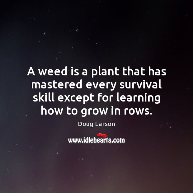 A weed is a plant that has mastered every survival skill except Doug Larson Picture Quote