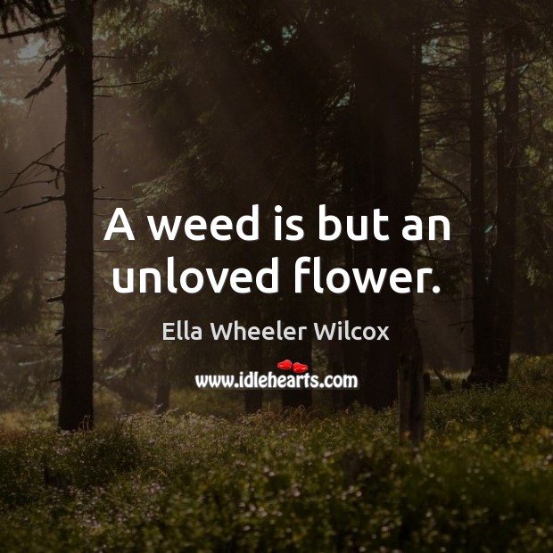 A weed is but an unloved flower. Ella Wheeler Wilcox Picture Quote