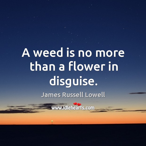 A weed is no more than a flower in disguise. James Russell Lowell Picture Quote